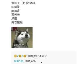 网红界三大鼻祖,揭秘三大鼻祖的传奇历程