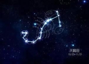 有哪个明星是天蝎座,揭秘十二星座中的明星风采