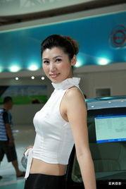 模特米雪儿个人资料,时尚界的璀璨明珠，揭秘模特界的传奇人生